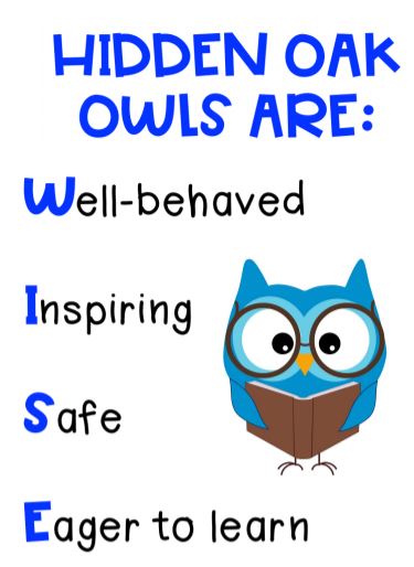 Hidden Oak Owl Expectations 